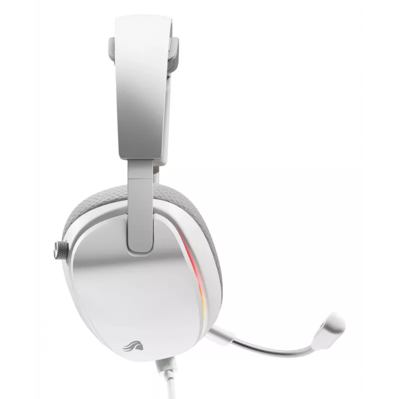 Glorious Gaming Glorious GHS Eternal RGB - stereofoninės RGB žaidimų ausinės, skirtos PC, PS5, PS4, Switch - pagal užsakymą suderintos kampinės tvarkyklės, reguliuojamas itin aiškus nuimamas mikrofonas, USB-C - patvarios, visos dienos/nakties komfortas - baltos