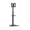 Chief PF1UB monitoro laikiklis / stovas 190,5 cm (75 coliai) Grindinis Juodas