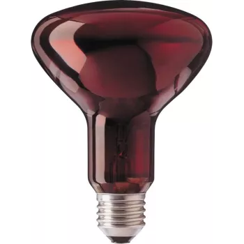 Philips R95 IR 100W E27 230V raudona 1CT/25 infraraudonųjų spindulių lemputė