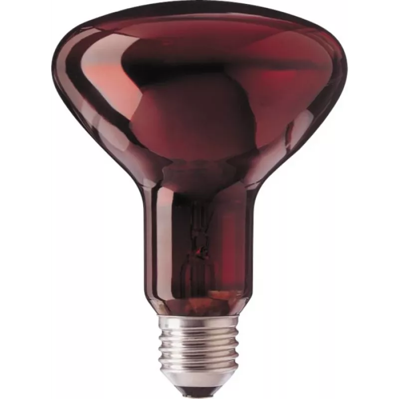Philips R95 IR 100W E27 230V raudona 1CT/25 infraraudonųjų spindulių lemputė