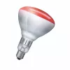 Infraraudonųjų spindulių lemputė Philips 923212043801 250 W 5000 h 230-250 V