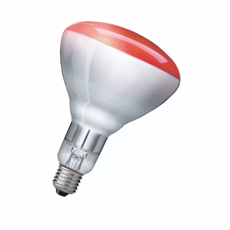 Infraraudonųjų spindulių lemputė Philips 923212043801 250 W 5000 h 230-250 V