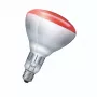 Infraraudonųjų spindulių lemputė Philips 923212043801 250 W 5000 h 230-250 V