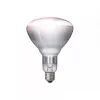 Infraraudonųjų spindulių lemputė Philips 57522725 150 W 5000 h 230–250 V