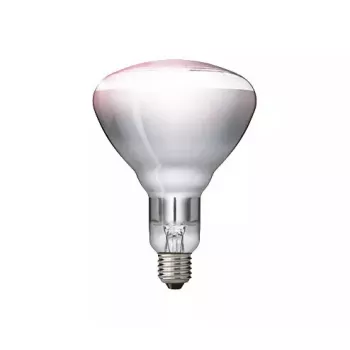 Infraraudonųjų spindulių lemputė Philips 57522725 150 W 5000 h 230–250 V