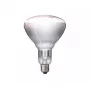 Infraraudonųjų spindulių lemputė Philips 57522725 150 W 5000 h 230–250 V