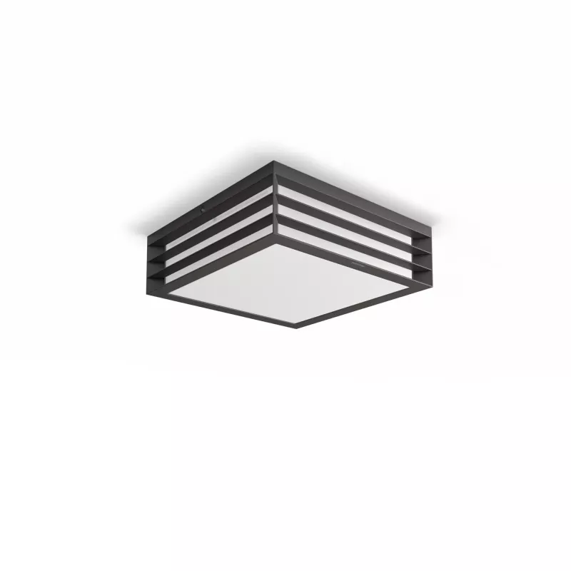 Philips myGarden Moonshine lubinis šviestuvas 28W E27 be lempučių, lauko sieninis apšvietimas, antracito spalva, aliuminis, sintetika, IP44, sodas, terasa, II