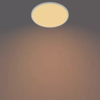 Ceiling Light Philips Functional Super plonas 22 W White Round LED