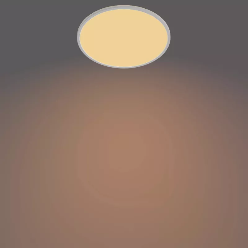 Ceiling Light Philips Functional Super plonas 22 W White Round LED