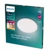 Ceiling Light Philips Functional Super plonas 22 W White Round LED