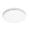 Philips Functional Izso lubinis šviestuvas 40 W, LED, 4300 lm, IP20, balta
