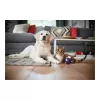 Philips PowerPro Expert FC9747/09 dulkių siurblys 2 L Cilindrinis dulkių siurblys Sausas 900 W Be maišelio