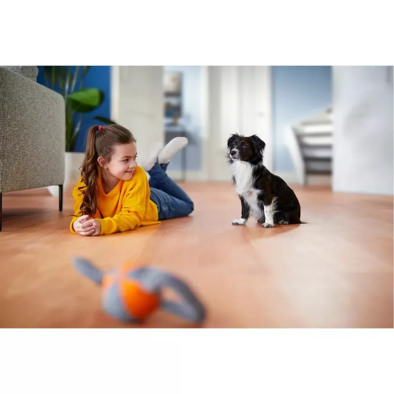 Philips PowerPro Expert FC9747/09 dulkių siurblys 2 L Cilindrinis dulkių siurblys Sausas 900 W Be maišelio