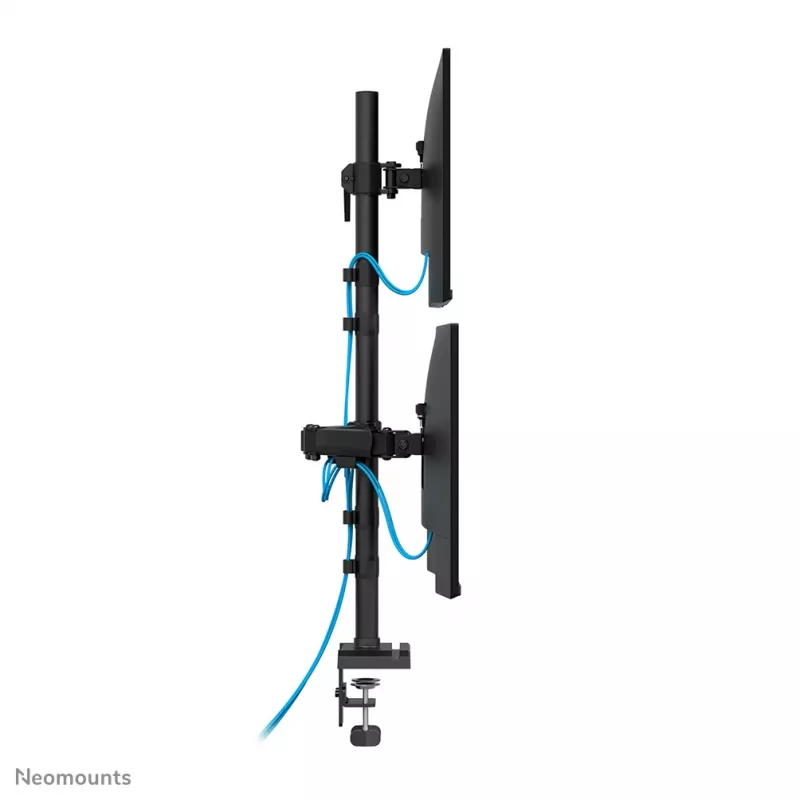 Neomounts DS60-600BL2-1 Trigubas monitoriaus laikiklis 10–32 colių, spaustuvo / įvorės tvirtinimas, 9 kg, 25,4 cm (10 colių), 81,3 cm (32 colių), 100 x 100 mm, juodas