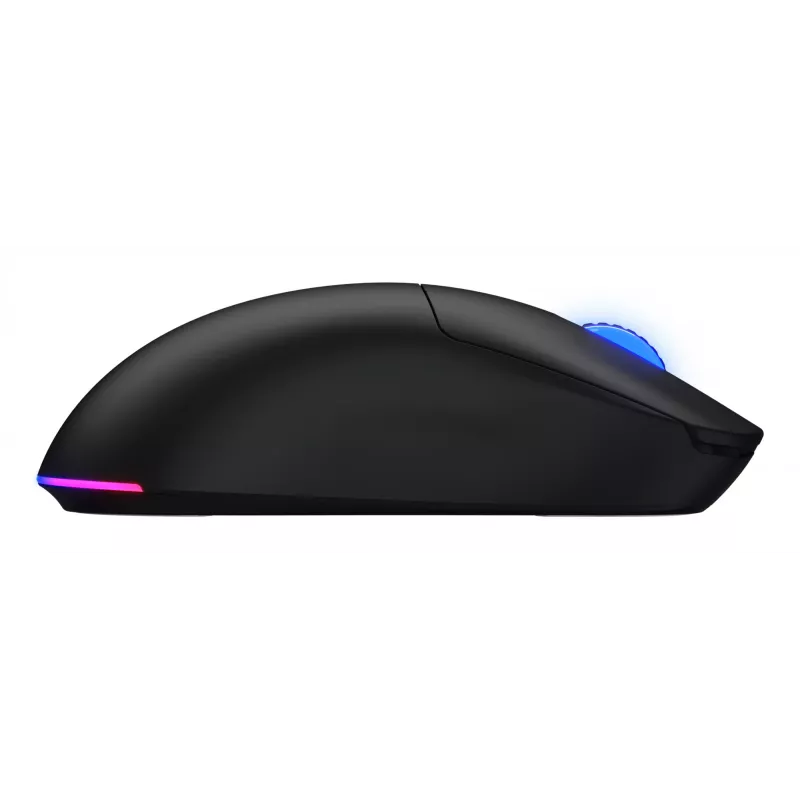 HATOR Quasar 3 Wireless pelė Žaidimų Abiem rankoms tinkama RF belaidė + Bluetooth + USB Type-A Optinė 12000 DPI