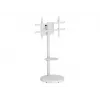 TECHLY Grindinis stovas su vežimėlio lentyna LCD/LED/Plazminiam televizoriui 37-86 colių Baltas