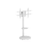 TECHLY Grindinis stovas su vežimėlio lentyna LCD/LED/Plazminiam televizoriui 37-86 colių Baltas