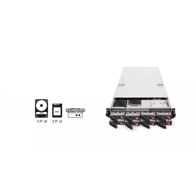 HDD korpusas Sidabrinėstone RM22-308 2.5/3.5 colio 10 diskų juoda balta
