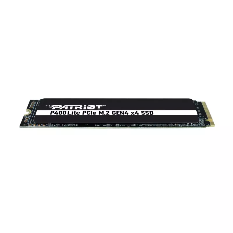 SSD diskas Patriot Memory P400 Lite 250 GB M.2 PCI Express 4.0 NVMe