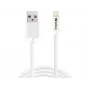 SANDBERG 440-94 SANDBERG laidas USB>Lightning 2 m Apple patvirtintas