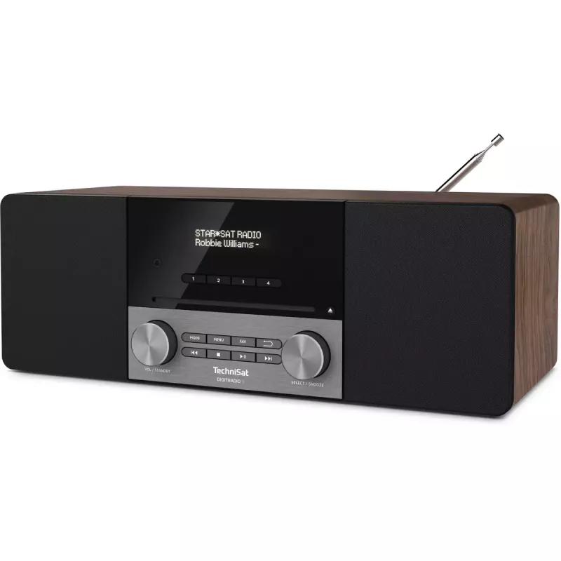 Nešiojamas radijas „TechniSat DigitalRadio 3“ Analoginis ir skaitmeninis DAB+ FM