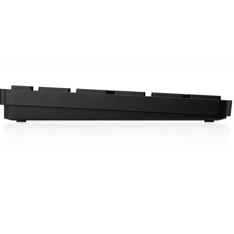 Belaidė programuojama viso dydžio klaviatūra HP 450 – RF belaidė + USB, juoda