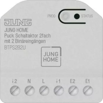 Jungtinis 2 kanalų jungiklio valdiklis su 2 dvejetainiais įėjimais Jung BT P S2 B2 U (JUNG HOME Puck)