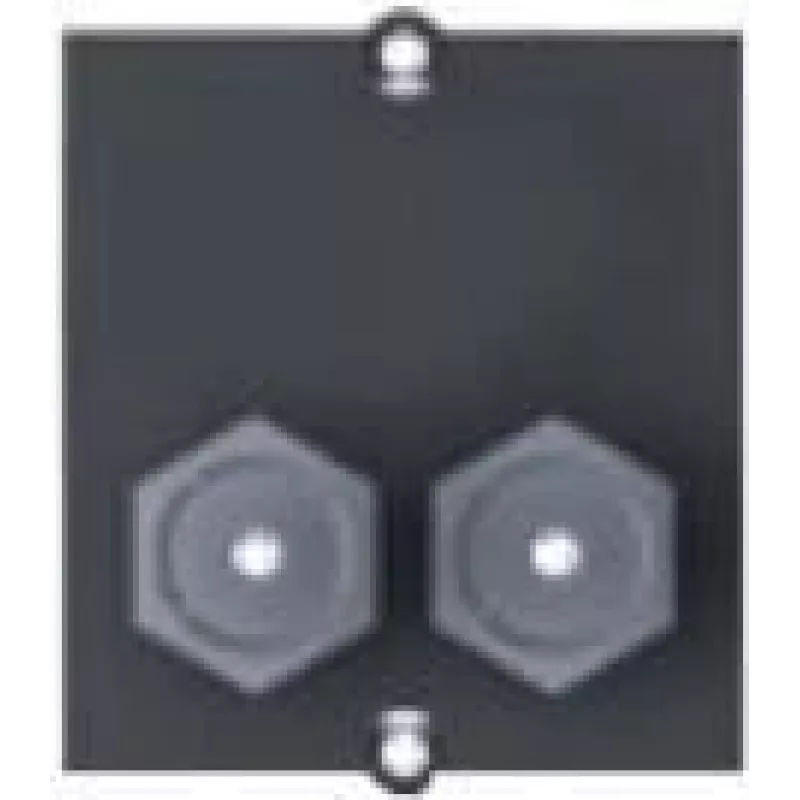 Bachmann Custom module - Modulares Faceplate-Snap-In - F-Plug X 2 - Juoda (917.117)
