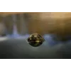 Sonar Deeper Smart Sonar Chirp+4 Wi‑Fi žuvies ieškiklis, įmontuota baterija, ABS korpusas, žalia/ruda