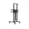 Avtek TS Electric Stand Light motorizuotas ekrano stovas (1MV145)