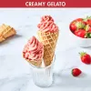 Magimix Gelato Expert kompresorinis ledų aparatas, 2 L, 180 W, nerūdijantis plienas