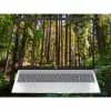 HP OmniBook 5 16-bc1002na AMD Ryzen™ 5 8540U nešiojamasis kompiuteris 40,6 cm (16 colių) jutiklinis ekranas 2K 8 GB LPDDR5-SDRAM 512 GB SSD Wi-Fi 6 (802.11ax) Windows 11 Home sidabrinis