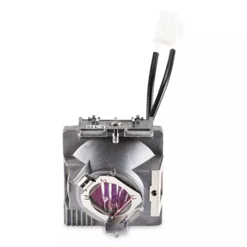 Viewsonic RLC-119 projektoriaus lempa