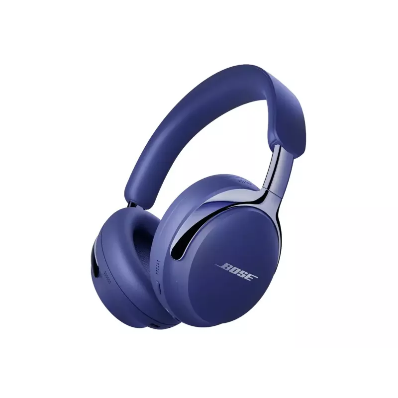 Ausinės Bose 890101-0300