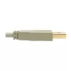 USB 2.0 A–B laidas Tripp Lite U022-006-BE 6 pėdų smėlio spalvos