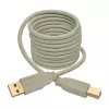USB 2.0 A–B laidas Tripp Lite U022-006-BE 6 pėdų smėlio spalvos
