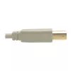 USB 2.0 A–B laidas Tripp Lite U022-006-BE 6 pėdų smėlio spalvos