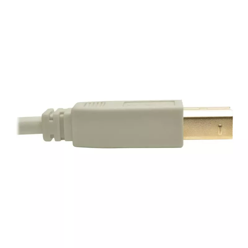 USB 2.0 A–B laidas Tripp Lite U022-006-BE 6 pėdų smėlio spalvos
