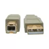 USB 2.0 A–B laidas Tripp Lite U022-006-BE 6 pėdų smėlio spalvos