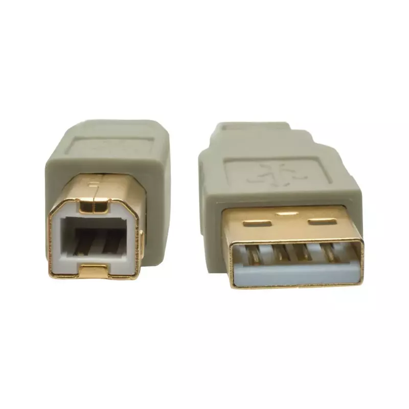 USB 2.0 A–B laidas Tripp Lite U022-006-BE 6 pėdų smėlio spalvos