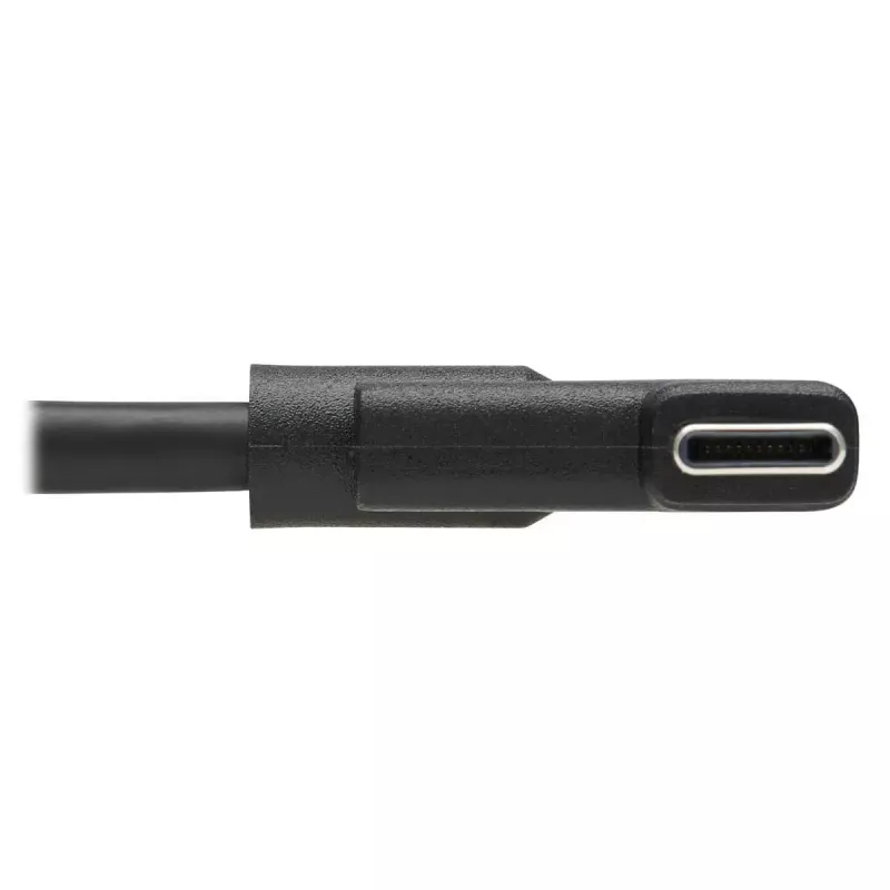 USB-C laidas Tripp Lite U420-02M-RA 2m USB 3.2 Gen 1 Thunderbolt 3 kampinis