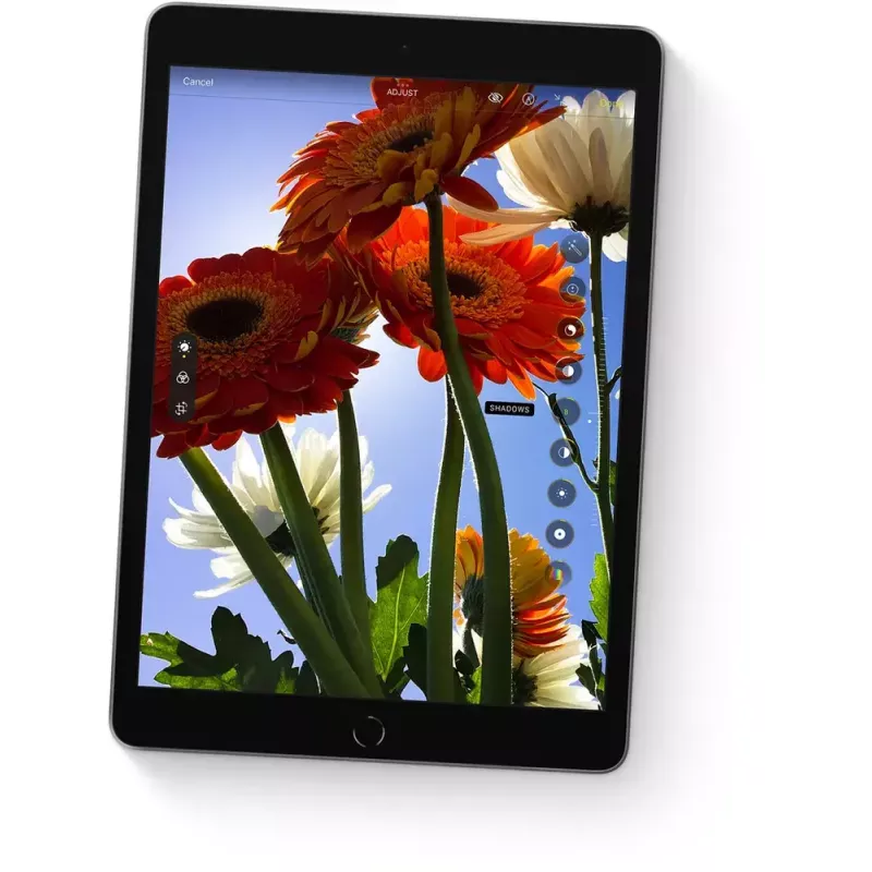 Planšetinis kompiuteris Apple iPad 10,2 colio (25,9 cm) 256 GB Wi‑Fi (802.11ac) A13, iPadOS 15, pilka, 8 MP / 12 MP