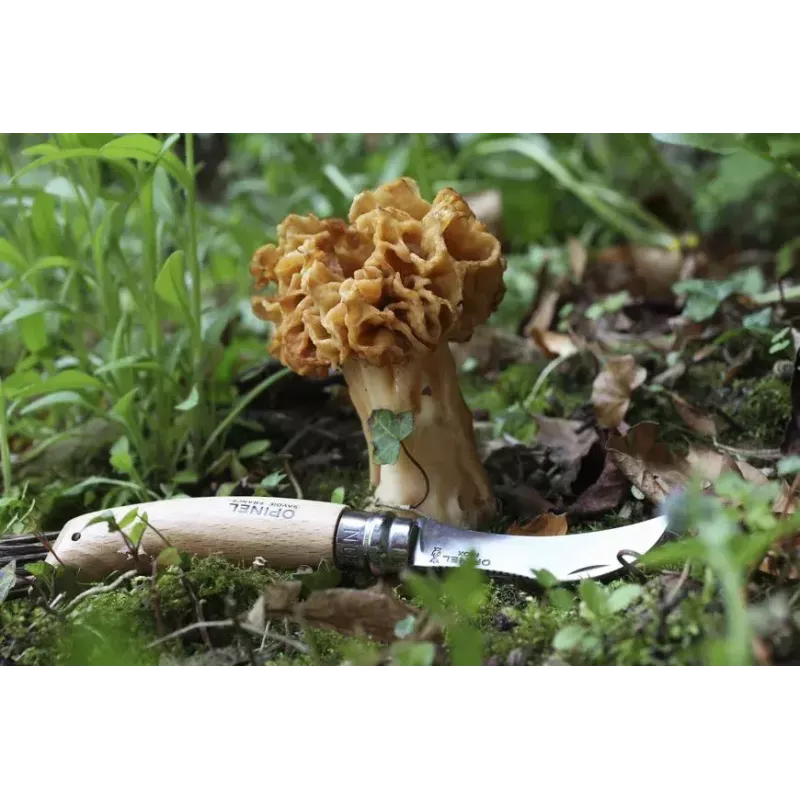 Kišeninis peilis Opinel 3123840012525