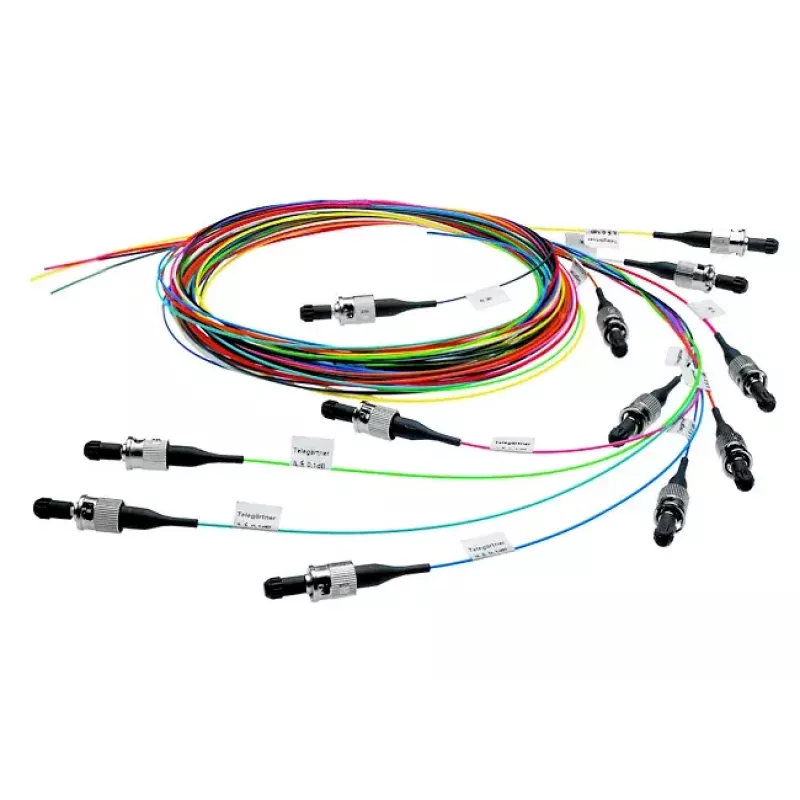 Telegärtner InfiniBand / šviesolaidinis kabelis 2 m 12x LC įvairiaspalvis