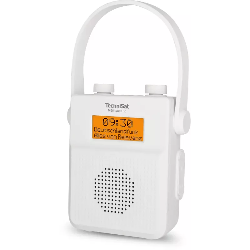 Nešiojamas radijas TechniSat DIGITRADIO 30 - V2 Analoginis ir skaitmeninis DAB+ FM