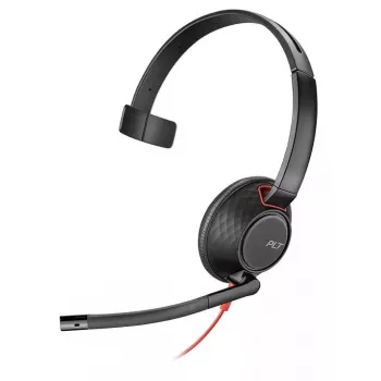 POLY Juodawire 5210 ausinės