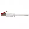 Tinklo kabelis EFB Elektronik K5518.30 RJ-45 Cat6 30 m Baltas