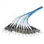 Šviesolaidinis kabelis EFB Elektronik O3313.2 12x ST OM1