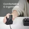Perixx 11534 dešiniarankė USB Type-A optinė pelė 1600 DPI