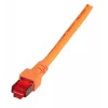 Tinklo kabelis EFB Elektronik K5516.50 RJ-45 Cat6 50 m Oranžinis